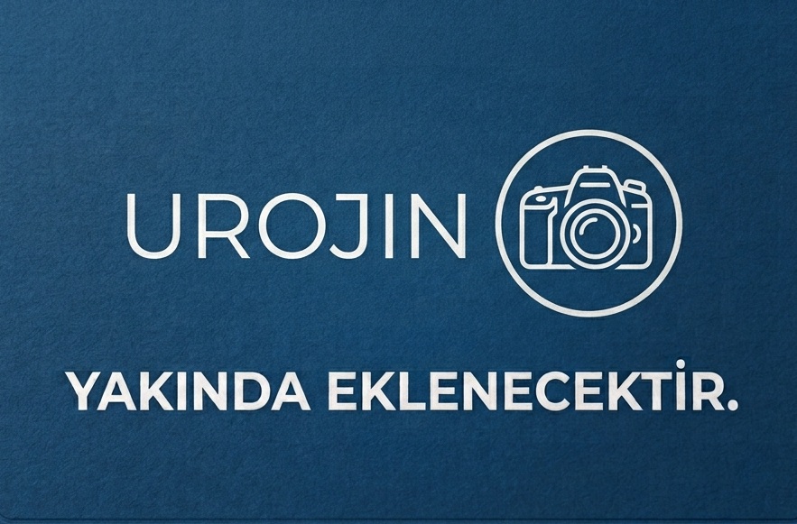 TEK KULLANIMLIK KOTER KALEMİ